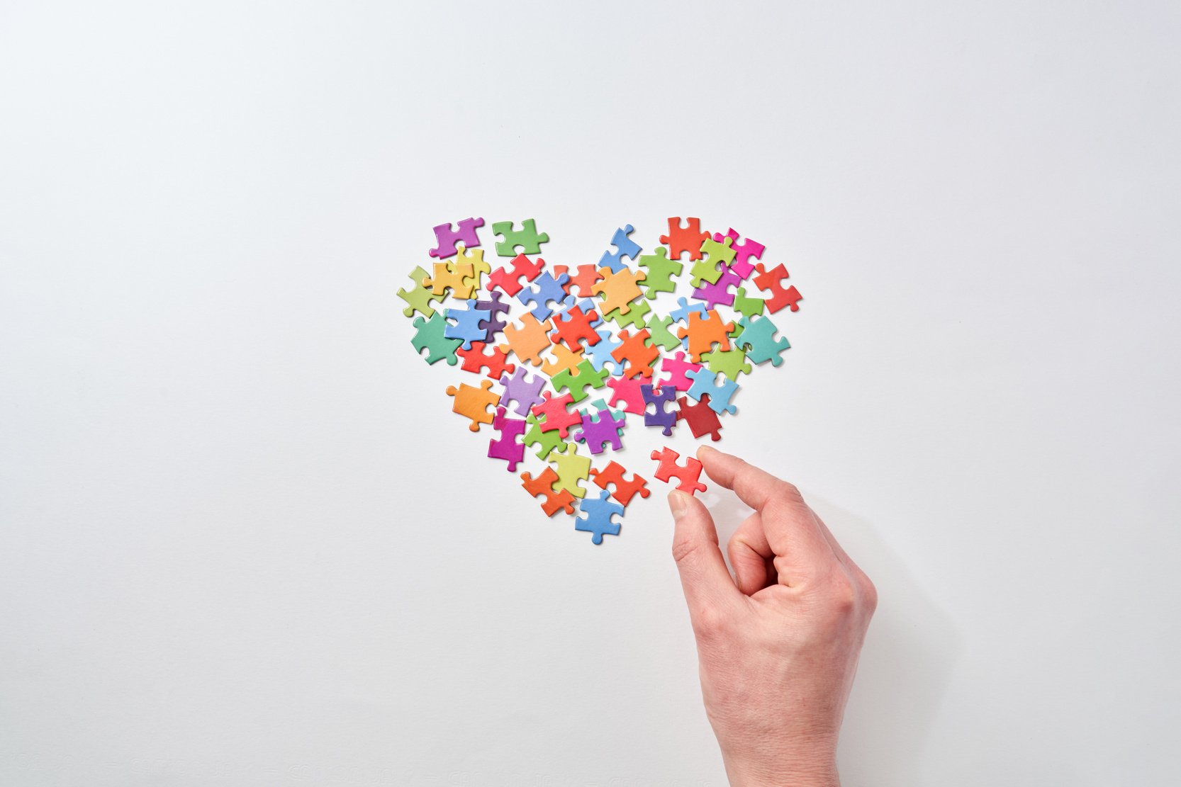 Person Holding Multi Colored Puzzle Piece